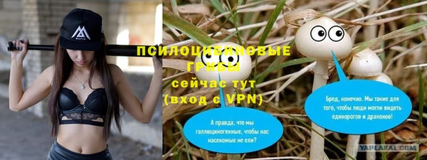 прущие крисы Няндома