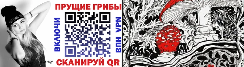 купить наркоту hydra рабочий сайт Псилоцибиновые грибы Cubensis Отрадный
