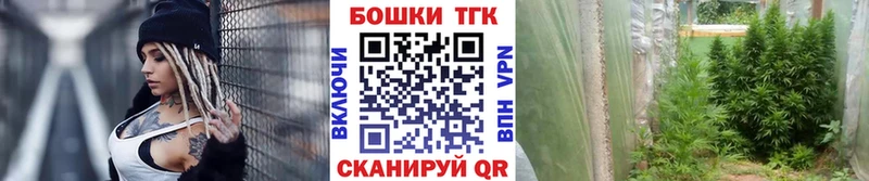МАРИХУАНА планчик  купить наркотики цена  Отрадный 